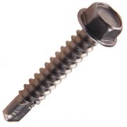 Drill Screws